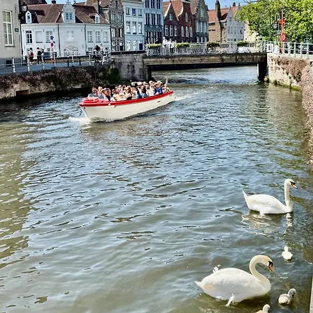 Bed and breakfast Sleeping Swan Brujas